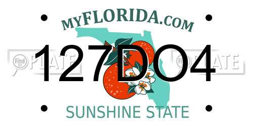 127DO4 Florida License Plate