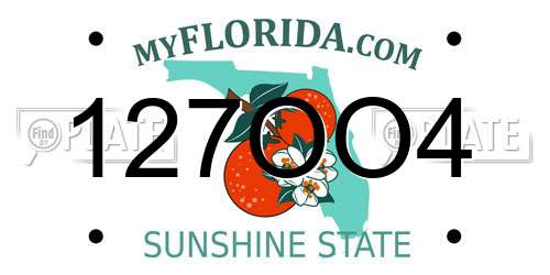 127OO4 Florida License Plate