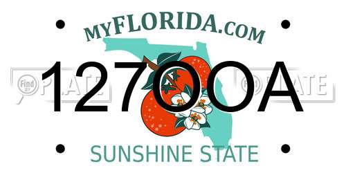 127OOA Florida License Plate