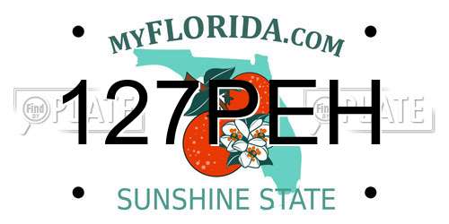 127PEH Florida License Plate