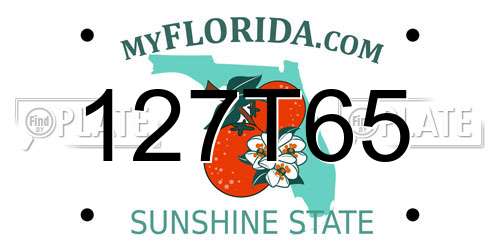 127T65 Florida License Plate