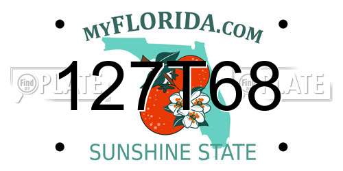 127T68 Florida License Plate