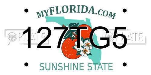 127TG5 Florida License Plate
