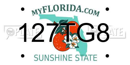 127TG8 Florida License Plate