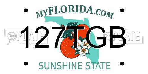 127TGB Florida License Plate