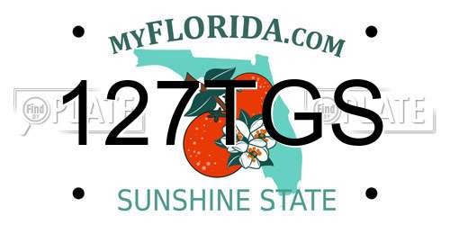 127TGS Florida License Plate