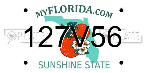 127V56 Florida License Plate