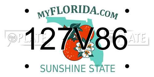 127V86 Florida License Plate