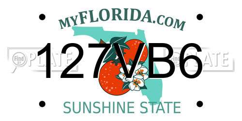 127VB6 Florida License Plate