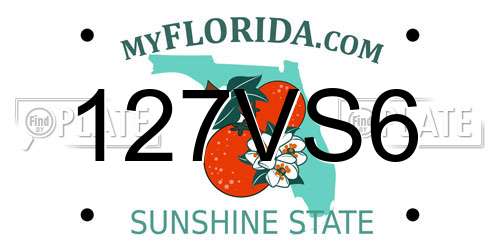 127VS6 Florida License Plate