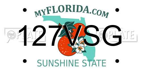 127VSG Florida License Plate