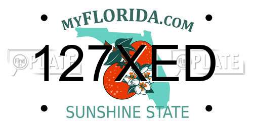 127XED Florida License Plate