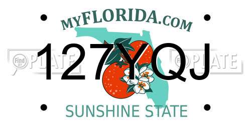 127YQJ Florida License Plate