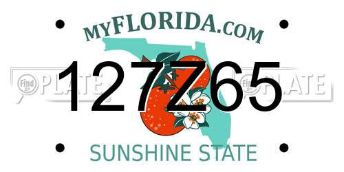 127Z65 Florida License Plate