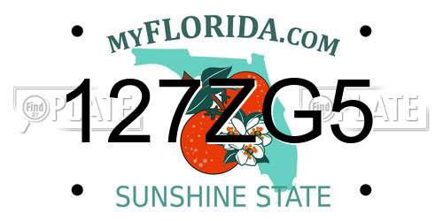 127ZG5 Florida License Plate