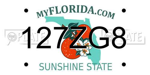 127ZG8 Florida License Plate