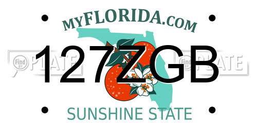 127ZGB Florida License Plate