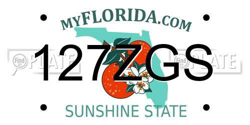 127ZGS Florida License Plate