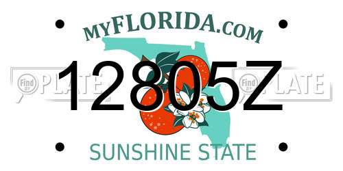 12805Z Florida License Plate