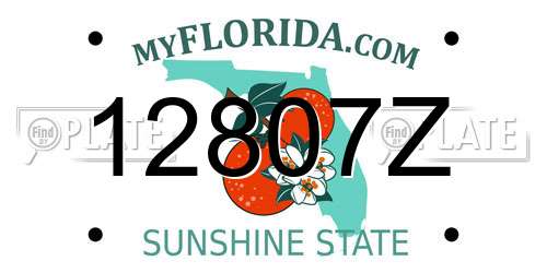 12807Z Florida License Plate
