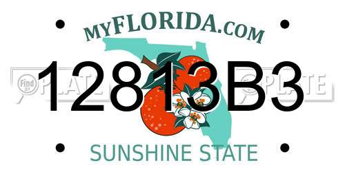 12813B3 Florida License Plate