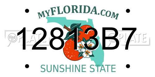 12813B7 Florida License Plate