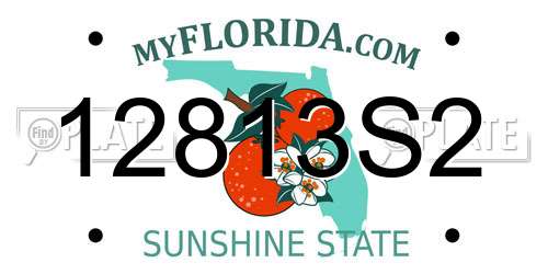 12813S2 Florida License Plate