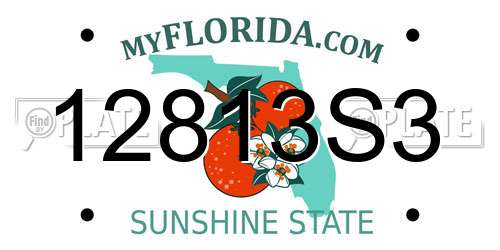 12813S3 Florida License Plate