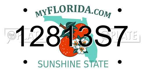 12813S7 Florida License Plate
