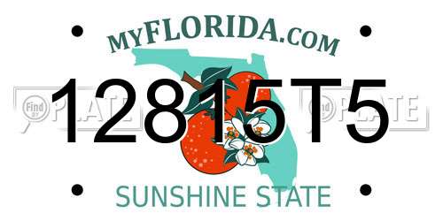 12815T5 Florida License Plate