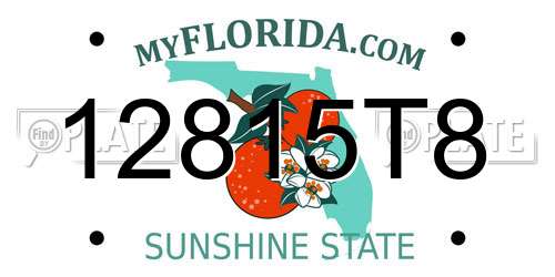 12815T8 Florida License Plate