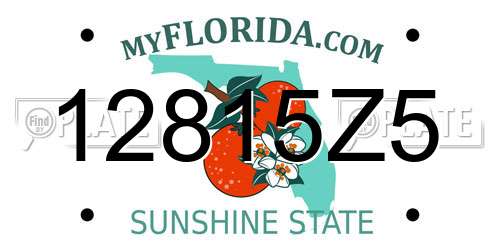 12815Z5 Florida License Plate