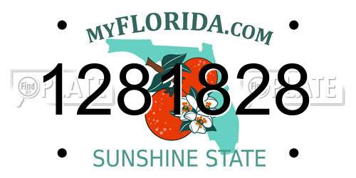 1281828 Florida License Plate
