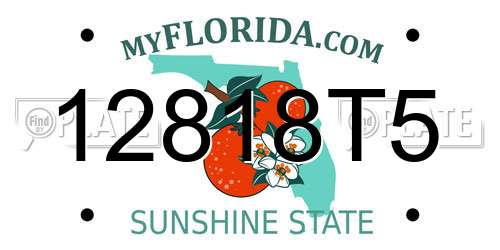 12818T5 Florida License Plate