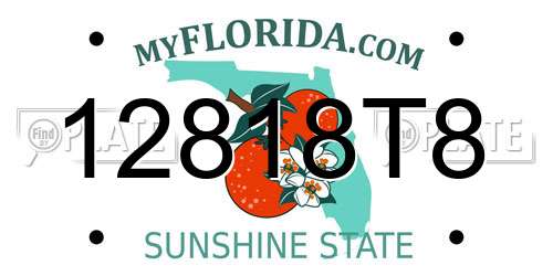 12818T8 Florida License Plate