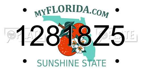 12818Z5 Florida License Plate