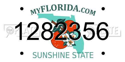 1282356 Florida License Plate
