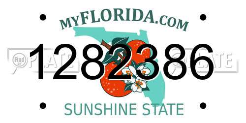 1282386 Florida License Plate