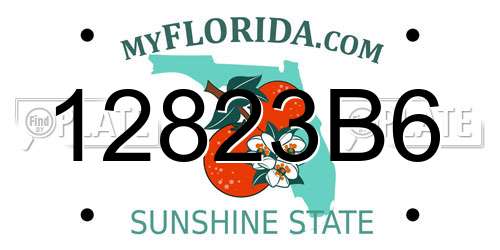 12823B6 Florida License Plate
