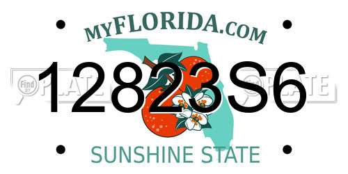12823S6 Florida License Plate