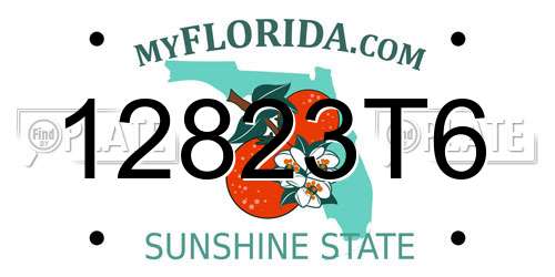 12823T6 Florida License Plate