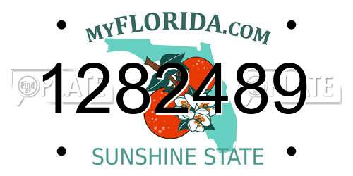 1282489 Florida License Plate