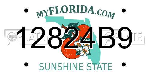 12824B9 Florida License Plate