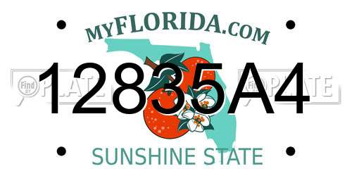 12835A4 Florida License Plate