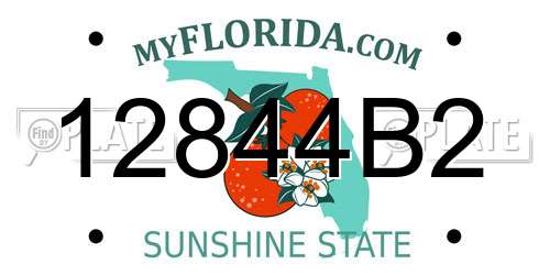 12844B2 Florida License Plate