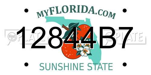 12844B7 Florida License Plate