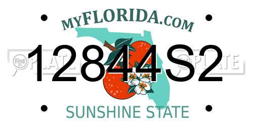 12844S2 Florida License Plate