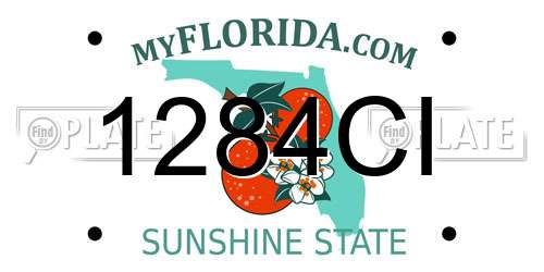 1284CI Florida License Plate