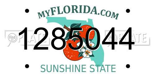 1285044 Florida License Plate