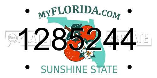 1285244 Florida License Plate